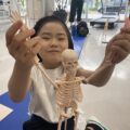 人体模型で体の仕組みを探究！小学生体験レポート｜名古屋